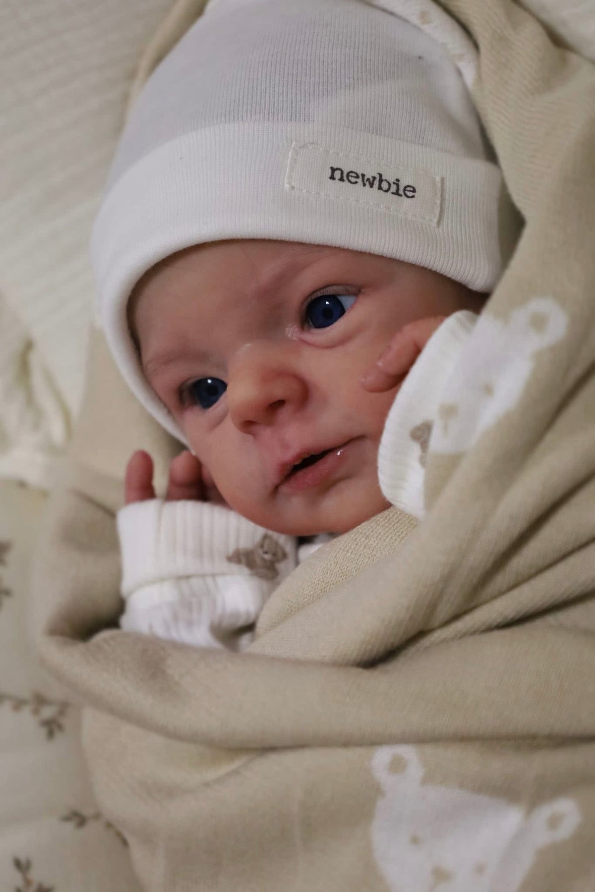 Realistic Reborn Doll Charlotte Girl 12" 16" 20" 30" Inches +  Premium Pack