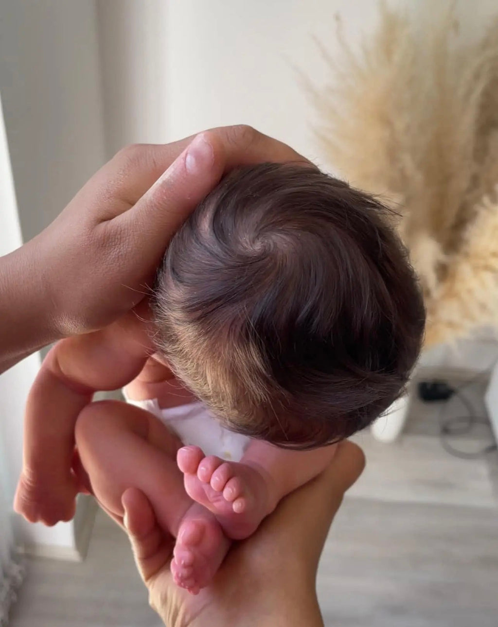 Realistic Reborn Doll Holly Girl 12" 16" 20" 30" Inches + Premium Pack